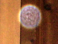 Enlarged Spirit Orb with Woman's Face